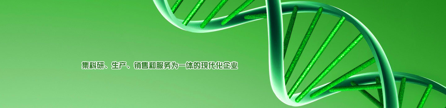 武漢博安建設